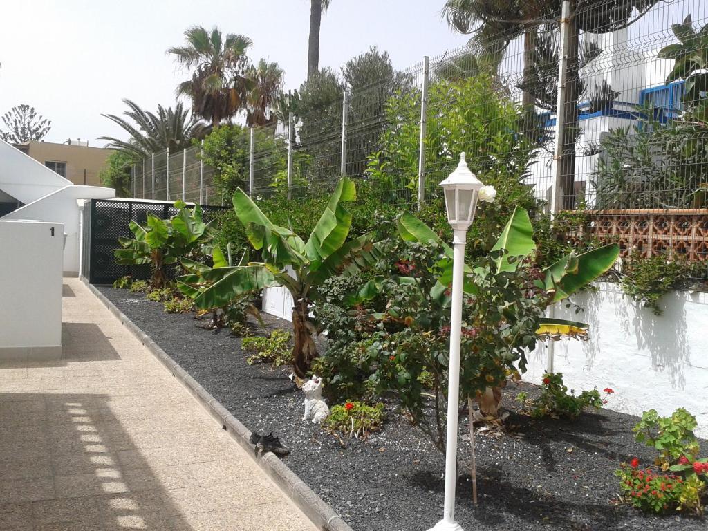Apartamentos Erika - Adults Only Corralejo Room photo
